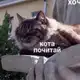 Аватар канала кота почитай 🐈‍⬛ книжный блог
