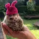 Аватар канала Снятые сливки