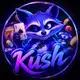Аватар канала KusH