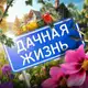Аватар канала Дачная жизнь