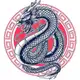 Аватар канала 看涨中國人 🇨🇳 DRAGON CALL ☏