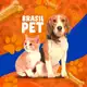 Аватар канала BRASIL PET 🐶🐱
