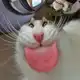 Аватар канала хрутка moment