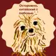 Аватар канала Осторожно, китайский с любовью от 金华老师❤️