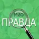 Аватар канала МИФЫ О ТРУДЕ