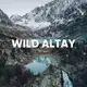 Аватар канала WILD RUSSIANS | АЛТАЙ