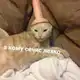 Аватар канала мисс кринжо 🫧