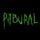 Аватар канала Pitbural