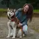 Аватар канала Саша и собаки