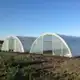 Аватар канала Тепличный бизнес в деревне