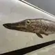 Аватар канала Щука для жизни (ОТ)