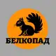 Аватар канала БЕЛКОПАД Помощь белкам