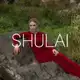 Аватар канала SHULAI