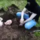 Аватар канала Рашкин Треш