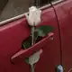 Аватар канала красные запчасти