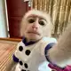 Аватар канала Pavitosik (Павел Скрынников)