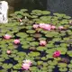 Аватар канала Фотографии с мероприятий САВ