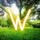 Аватар канала Wnature🌳