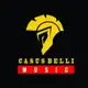 Аватар канала Casus Belli music