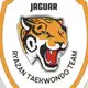 Аватар канала Taekwondo Ryazan Team