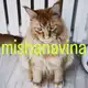 Аватар канала mishanavina
