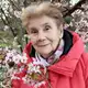 Аватар канала Успенская Марианна Сергеевна, древовидные пионы 🌺