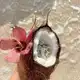 Аватар канала 🎀 𝅚𝅛 𝗦𝖺𝗇𝖺𝗇𝖽𝗈 ㅤ밤 ✿