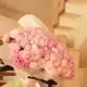 Аватар канала sh.💋