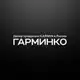 Аватар канала ГАРМИНКО — оригинальная техника Garmin
