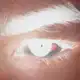 Аватар канала hanatemi