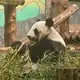 Аватар канала Это логично