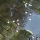 Аватар канала 🍄•°Everswomans°•🍄