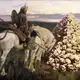 Аватар канала Бедный Рюрик