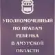 Аватар канала Уполномоченный по правам ребенка в Амурской области