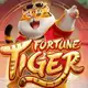 Аватар канала Slots PG 🤑💰