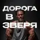 Аватар канала ДОРОГА В ЗВЕРЯ