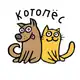 Аватар канала Котопёс