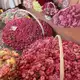 Аватар канала ɴɪ🎀