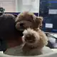 Аватар канала Nickson