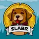 Аватар канала Labrador Adventures $LABR
