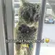 Аватар канала honestly?enough #graveyard