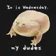 Аватар канала «Среда, мои чуваки» (It is Wednesday, my dudes)