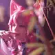 Аватар канала Kirara_no_kira | Cosplay