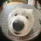 Аватар канала Life is pain!><