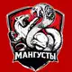 Аватар канала МАНГУСТЫ