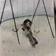 Аватар канала Щп микрухи