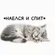 Аватар канала а че нет