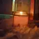Аватар канала Kotik Life