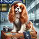 Аватар канала Леди и Бродяга - Открываем мир вместе 🐾🌎