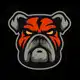 Аватар канала DDOG News